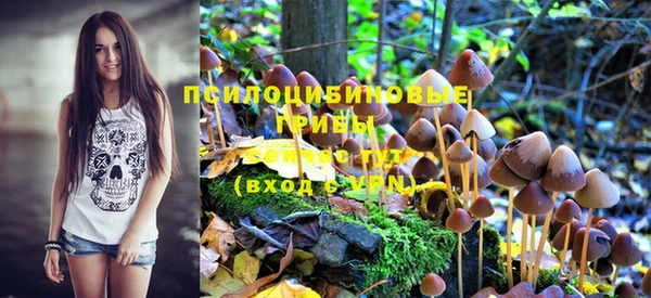 тгк Михайлов