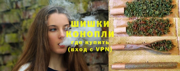 МДПВ Михайловск