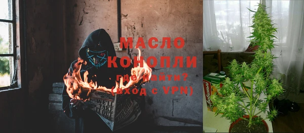 тгк Михайлов